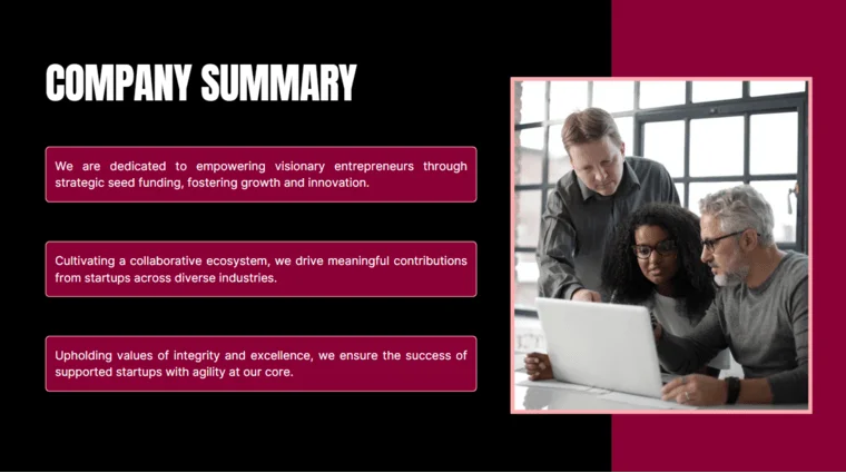 Seed funding pitch deck company summary