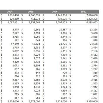 Veterinary Clinic Financial Model-Income Statement