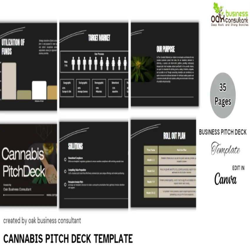 Cannabis Pitch Deck Template-Company Summary