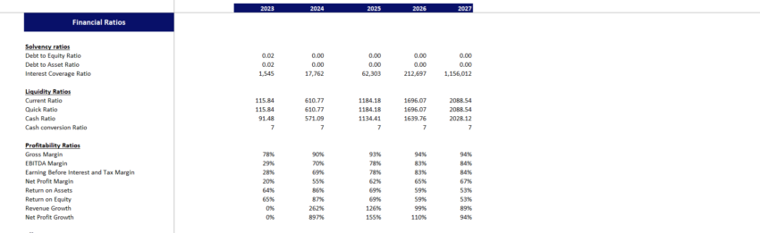 Global Marketing Excel Financial Model-Financial Ratios