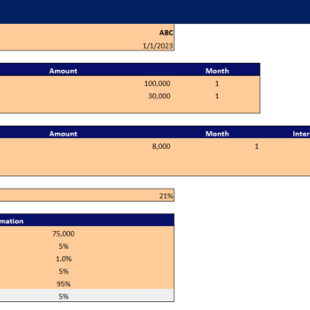 Global Marketing Excel Financial Model-Input sheet