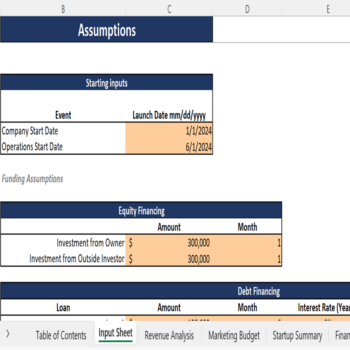 Naturopathy Center Financial Model - Input Sheet
