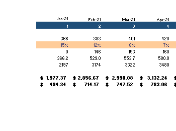 Online One Dollar Shop Financial Model