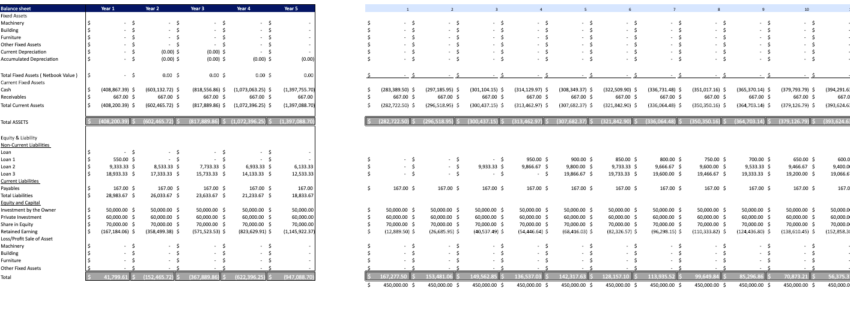 Palm Oil Financial model