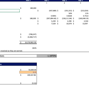 Palm Oil Financial model- evaluation