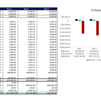 Palm Oil Financial model