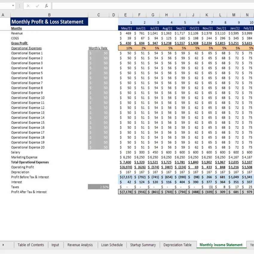 Token Economy Model - Monthly Income Statement