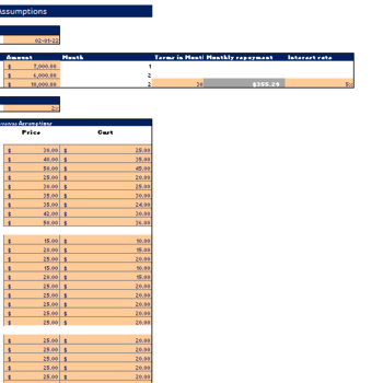 accessories boutique excel financial model input