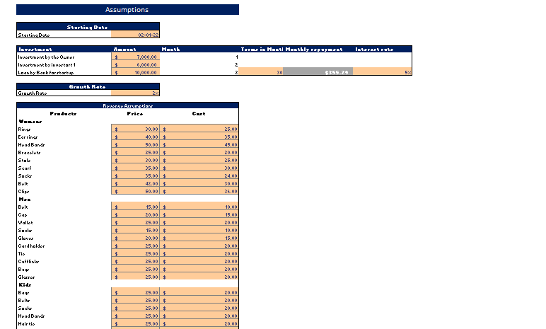 accessories boutique excel financial model input