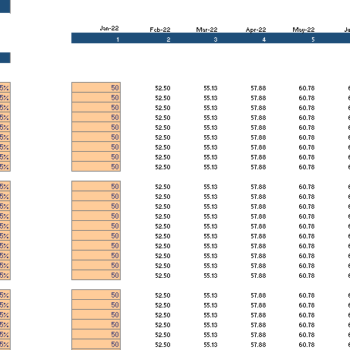 Accessories Boutique Financial model