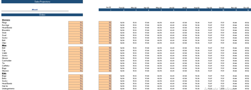 Accessories Boutique Financial model