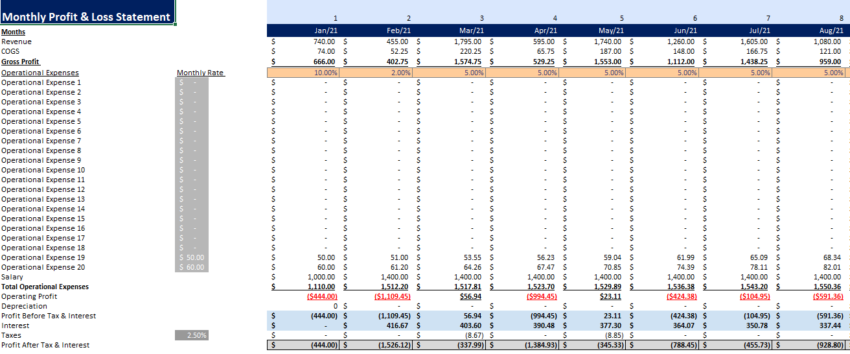 prof_services_monthly_pnl