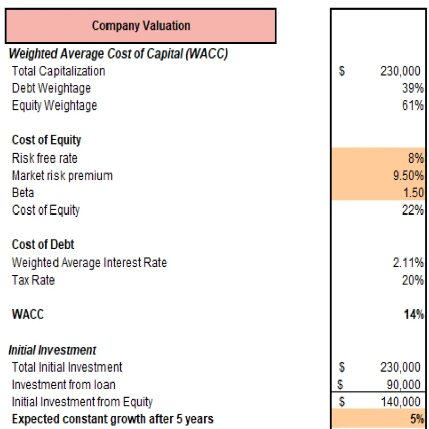 Online Pet Store Excel Financial Model Projection Template - Company Valuation