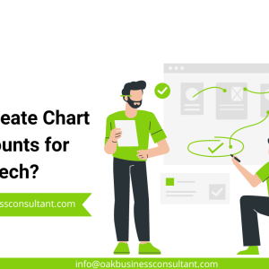 How to Create Chart of Accounts for Fintech?