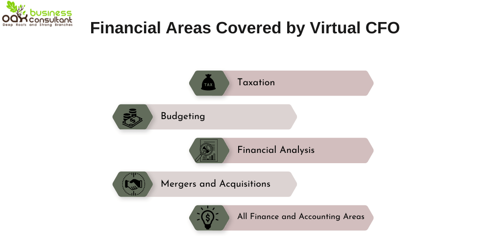 Financial Areas Covered by Virtual CFO
