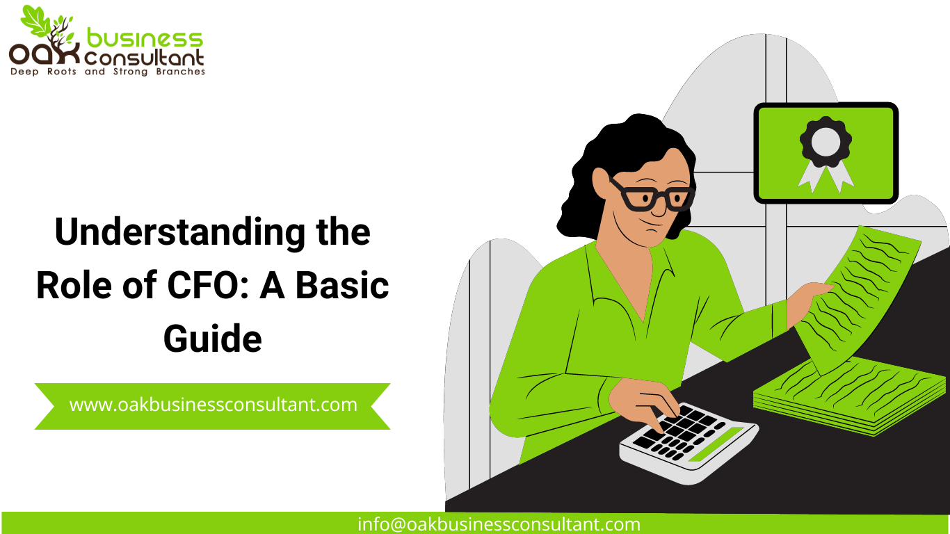 Understanding the Role of CFO: A Basic Guide