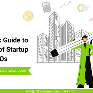A Holistic Guide to the Role of Startup CFOs