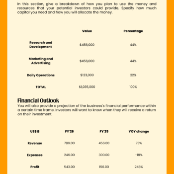 Curtain Business Plan Template - Financial Plan