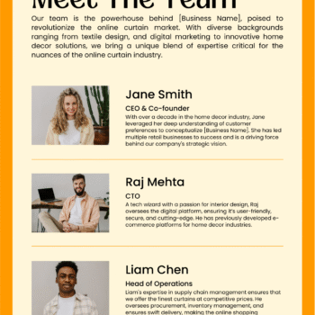 Curtain Business Plan Template - The Team