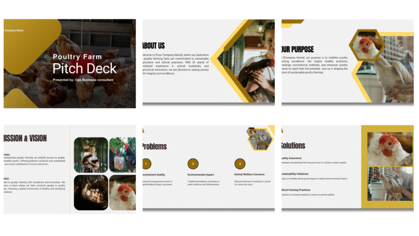 Poultry Farm Pitch Deck Template - Vision