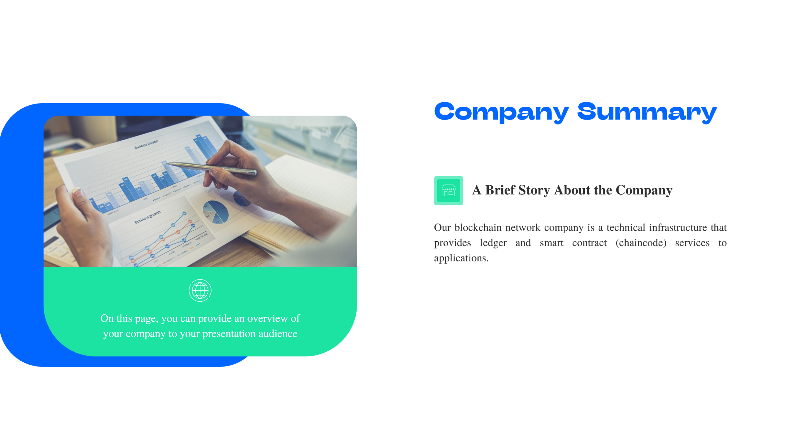 Blockchain-as-a-Service-Company Summary