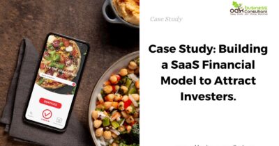 Case Study Building a SaaS Financial Model to Attract Investers