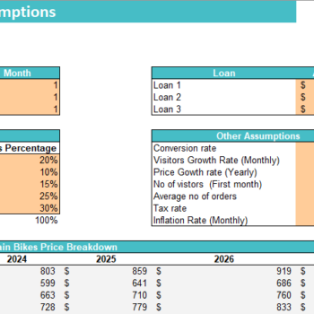 Mountain Bike Dealer Excel Financial Model-Input Sheet
