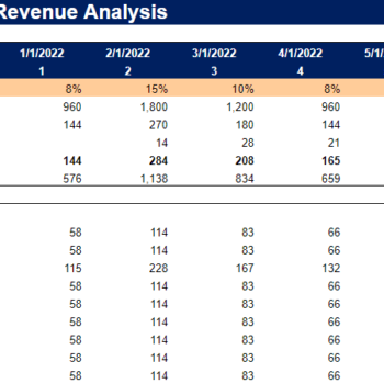 Sporting Goods Financial Model - Revenue Analysis