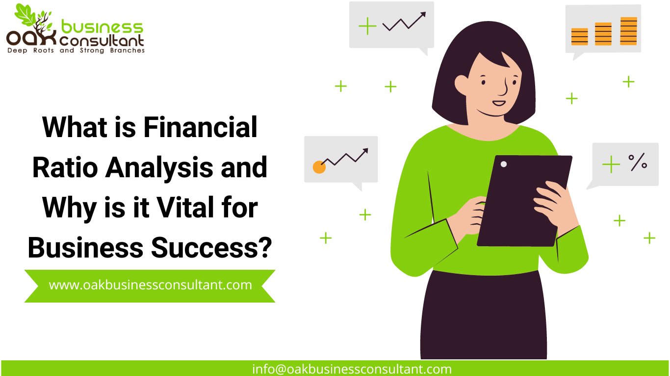 What is Financial Ratio Analysis and Why is it Vital for Business Success?