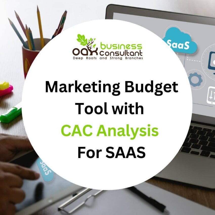 marketing_budget_tool_with__cac_analysis__for_saas