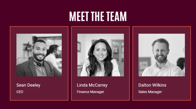 Car Dealer Pitch Deck Template - Meet the Team