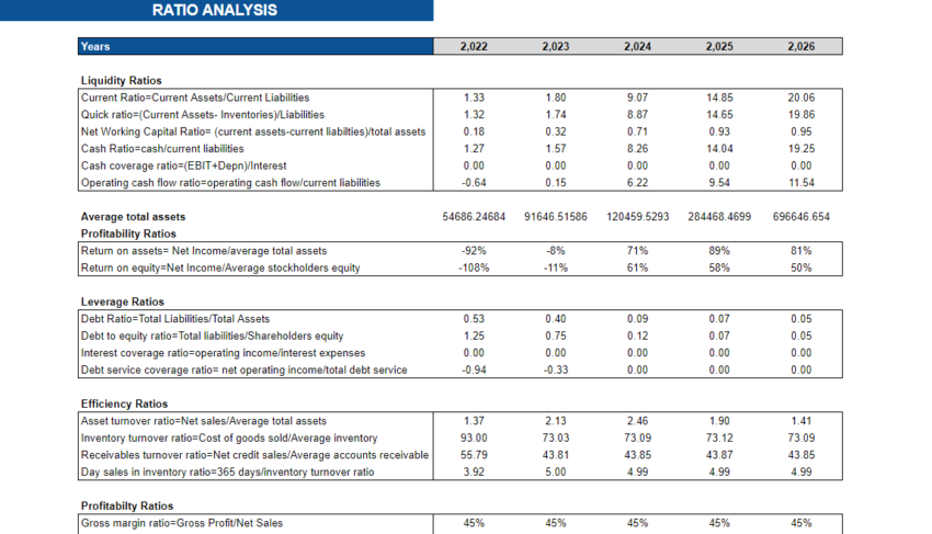 Drug Store Financial Model
