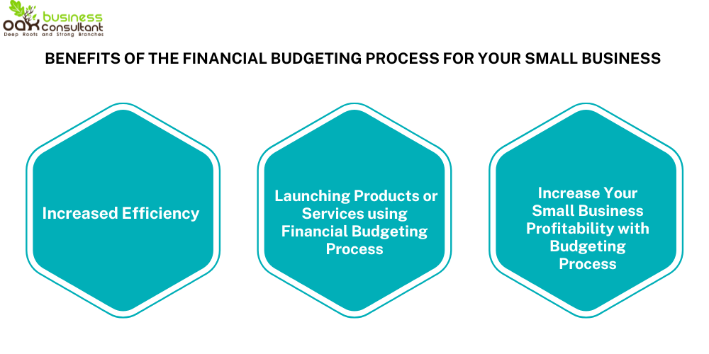 Benefits of the Financial Budgeting Process for Your Small Business