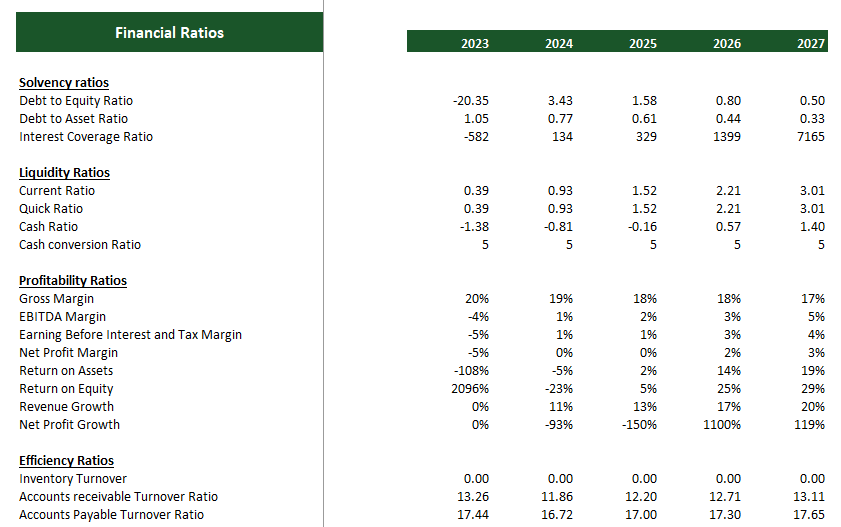 Casino Hotel Financial Model Excel Template- Financial Ratios