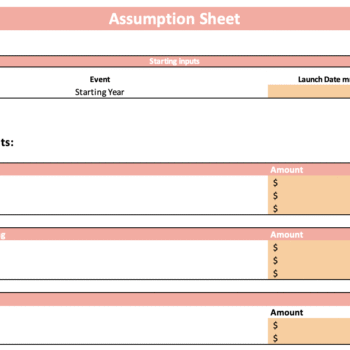 Company Valuation Tool - Input Sheet