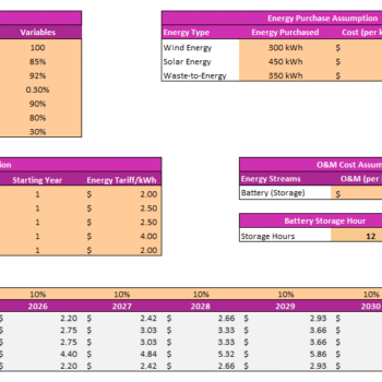 Energy Storage Financial Model - Input Sheet