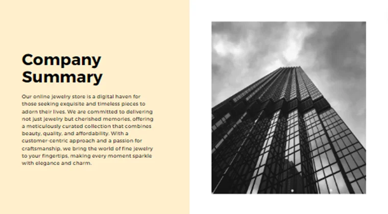 Online Jewelry Store Pitch Deck-Company Summary