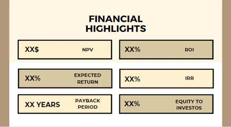 Online Jewelry Store Pitch Deck-Financial Highlights