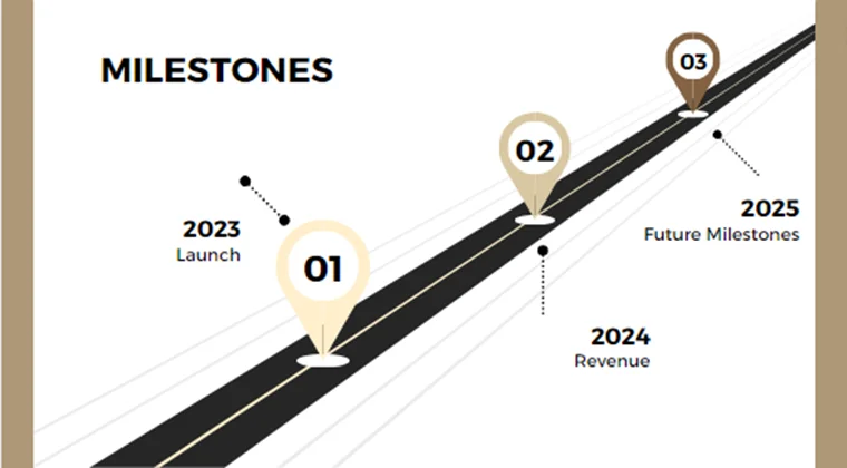 Online Jewelry Store Pitch Deck-Milestones