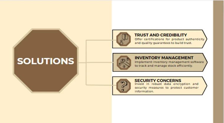 Online Jewelry Store Pitch Deck-Solutions