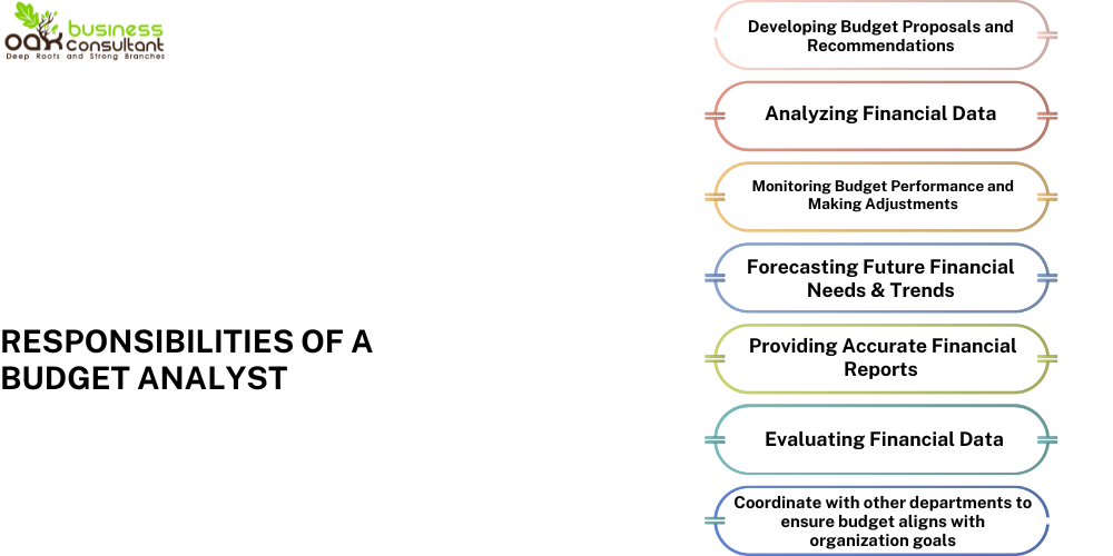 Responsibilities of a Budget Analyst