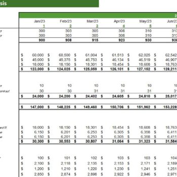 Logging Excel Financial Model- Revenue Assumptions