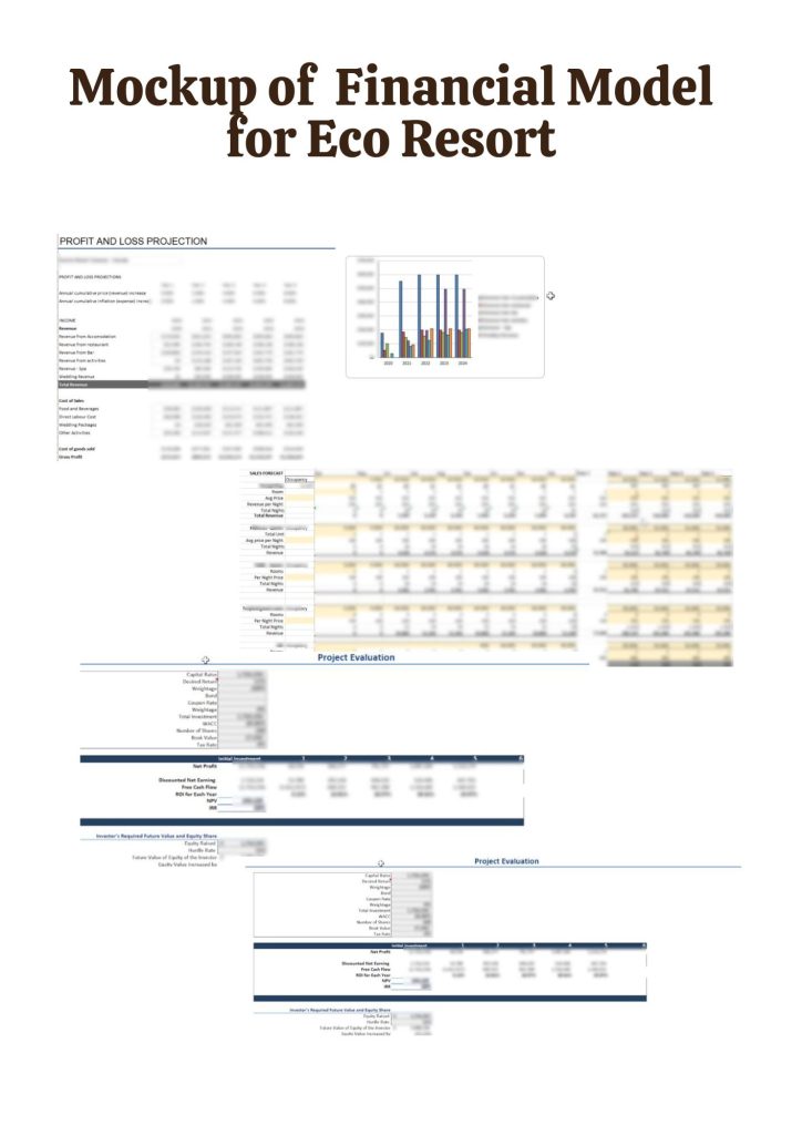 Mockup of  Financial Model for Eco Resort