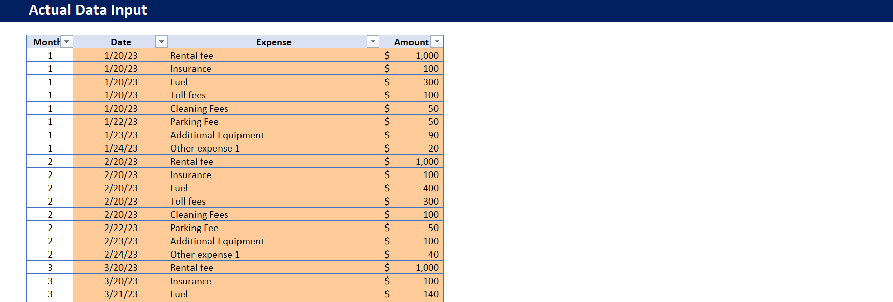 Rental Car Budget Tracker-Actual Data Input