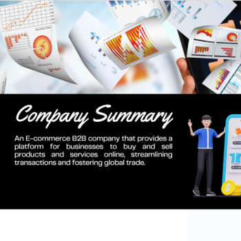 E-commerce B2B Pitch Deck Template-Company Summary
