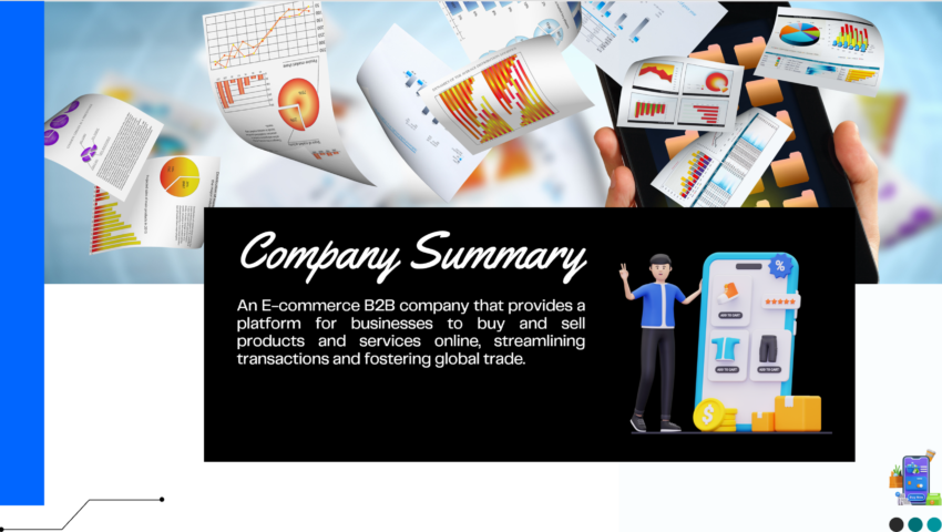 E-commerce B2B Pitch Deck Template-Company Summary