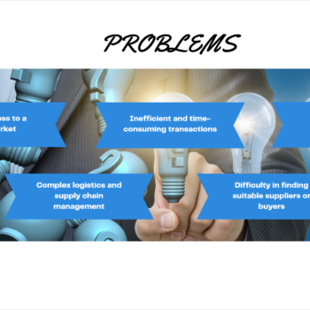 E-commerce B2B Pitch Deck Template-Problems