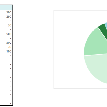 Monthly Transaction Tracker- Expense Summary