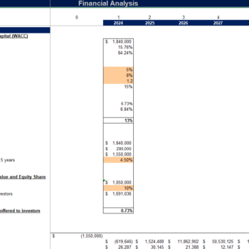 Packaging and Labeling Services Financial Model_Company Valuation