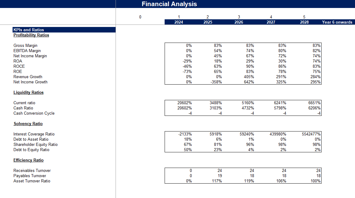 Packaging and Labeling Services Financial Model_KPIs and Ratios